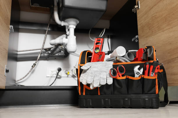 Best Plumbing Inspection Services  in Jacinto City, TX
