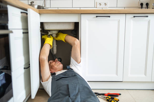 Best Plumbing Services Near Me  in Jacinto City, TX